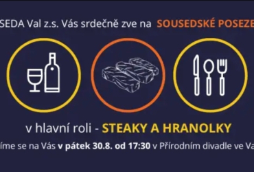 Sousedské posezení - steaky a hranolky